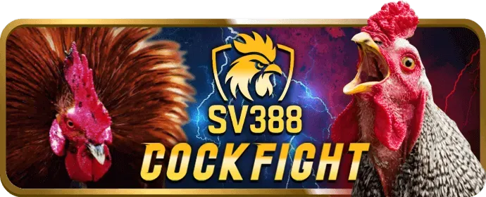 Trách nhiệm xã hội và bảo mật tại 9bet nhà cái